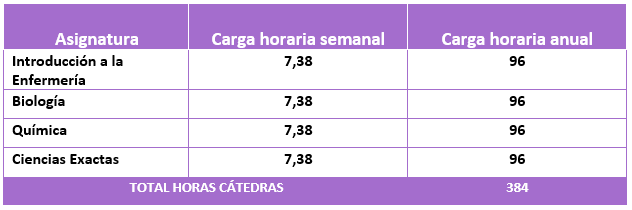 carga horaria med