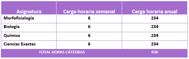 carga horaria medicina